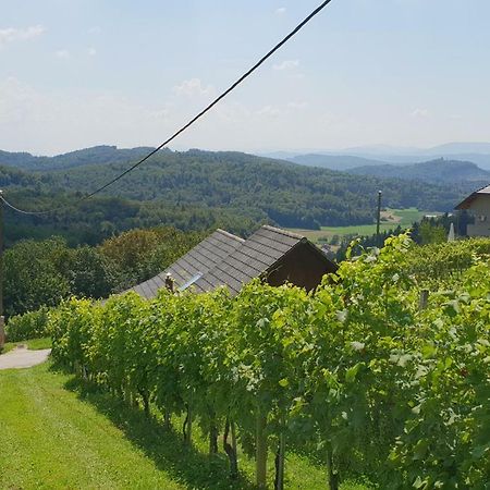 Zidanica Meglic - Vineyard Cottage Meglic Trebnje Eksteriør bilde
