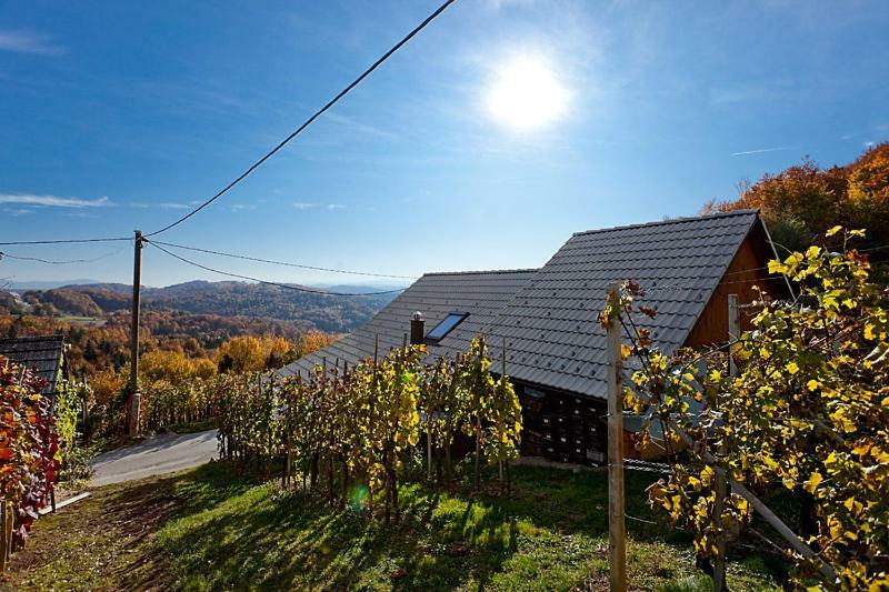 Zidanica Meglic - Vineyard Cottage Meglic Trebnje Eksteriør bilde